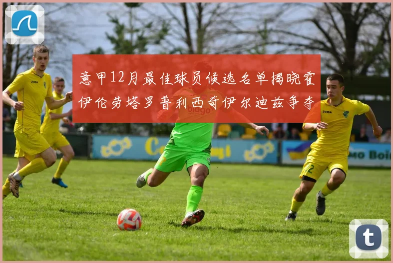意甲12月最佳球员候选名单揭晓霍伊伦劳塔罗普利西奇伊尔迪兹争夺荣誉